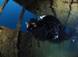 Apartments Insula Aurea