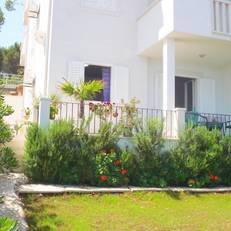 Apartments Sea Star 
