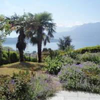 Bio B&B La Tortuga 