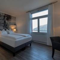 Hotel Vitznauerhof 