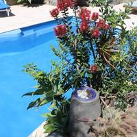 Snells Beach Motel 