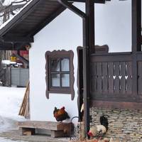 Hilde's Residence 