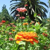 Finca La Colorada 