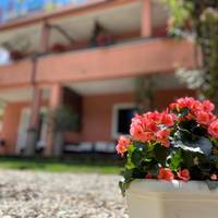 Apartments Tajana 