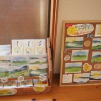 Guest House Asora 