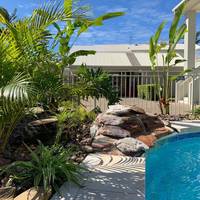 Noosa River Palms 
