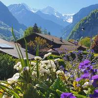 BnB Chalet-Gafri 