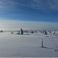 Nordseter Hytter 
