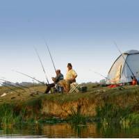 Dolphin Camping 