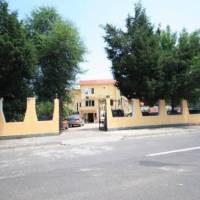 Vila Casa Leul 