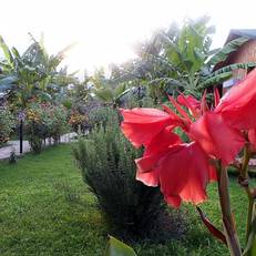 Estelar Hotel 