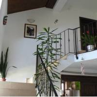 Casa Havana 