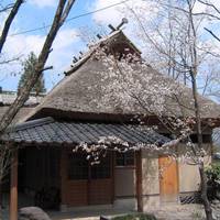 Warabino 
