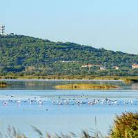 Apartment Savanna Beach I Le Cap d'Agde 