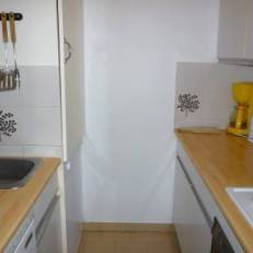 Apartment Les Fregates I Saint Cyprien 
