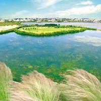 Carnac Thalasso & Spa Resort hotel 4* 