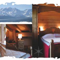 La Joubarbe au Balcon du Mont-Blanc 