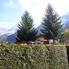 Apartment Les Chamois Les Houches 