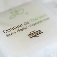 Brit Hotel Tours Sud  Le Cheops 