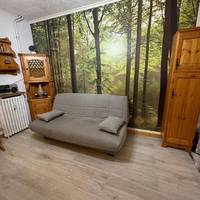 Apartment Le Savoisien Chamonix 