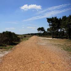 Camping de l'Atlantique 