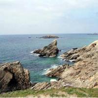 Camping les Palmiers 