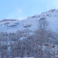 Chalet Narcisse 