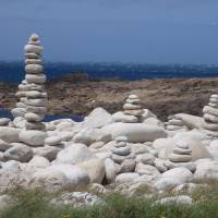 Les Sternes 