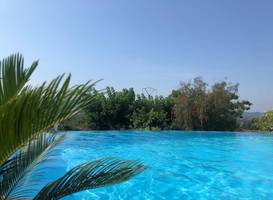 Aloasis 