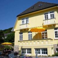 Apartment Rosenhof Wintergarten Bad Pyrmontlowensen 