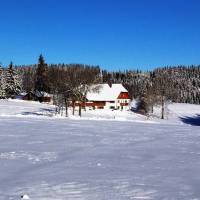 Holiday Home Ladstadt Furtwangen im Schwarzwald 