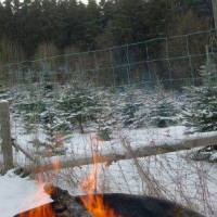 Pension und Ferienwohnungen Schweinsberg 