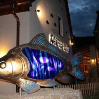 Karpfenhotel im Gasthaus Sindel-Buckel 