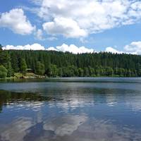 Kaltenbach's Appartements am Titisee 