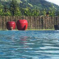 Aktiv- und Wellnesshotel Haidachhof 