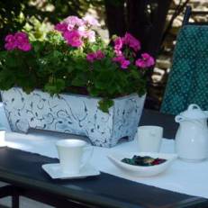 Pension und Apartment Haus Angelika 
