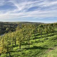 Holiday Home Hermeslex Trittenheim 