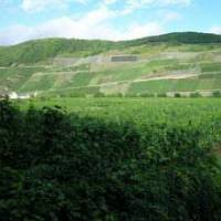Holiday Home Hermeslex Trittenheim 