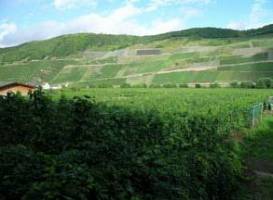 Holiday Home Hermeslex Trittenheim 