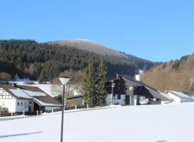 Ferienwohnung Liesen im Sauerland 