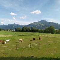 Apartment-Pension Schmiedererhof 