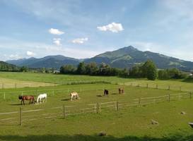 Apartment-Pension Schmiedererhof 