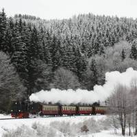 Ferienwohnung im Harz-Haus-Bruns 