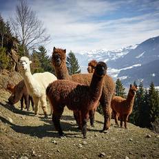 Holiday Home Rantsch Westendorf 