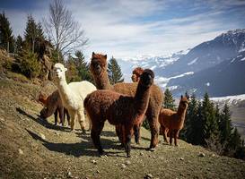 Holiday Home Rantsch Westendorf 