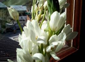 Hotel Garni Lodge Chesa Raetia 