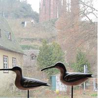 Ferienhaus Frohnatur Bacharach 