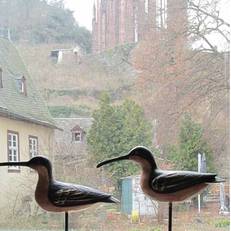 Ferienhaus Frohnatur Bacharach 