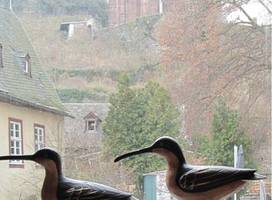 Ferienhaus Frohnatur Bacharach 
