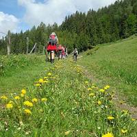 Wander-Vitalhotel Steirerhof 